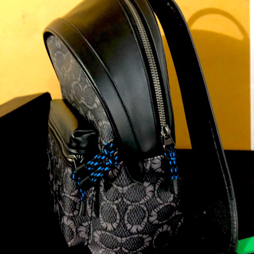 Brand new Coach Backpack never used. Just not my style